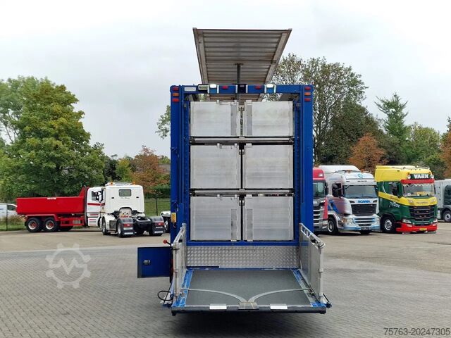 Cattle transport Berdex 0S1227 - 3 deck Livestock - Loadlift - Steering...