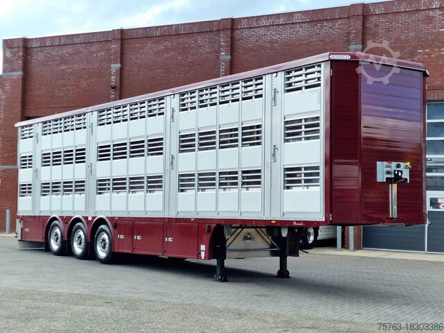 Cattle transport Pezzaioli New - 3 deck livestock 100M2 - Water & Ventilat...