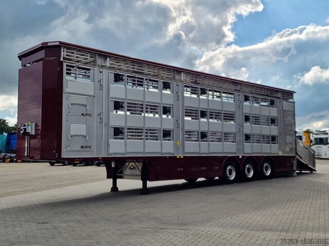 Cattle transport Pezzaioli New - 3 deck livestock 100M2 - Water & Ventilat...