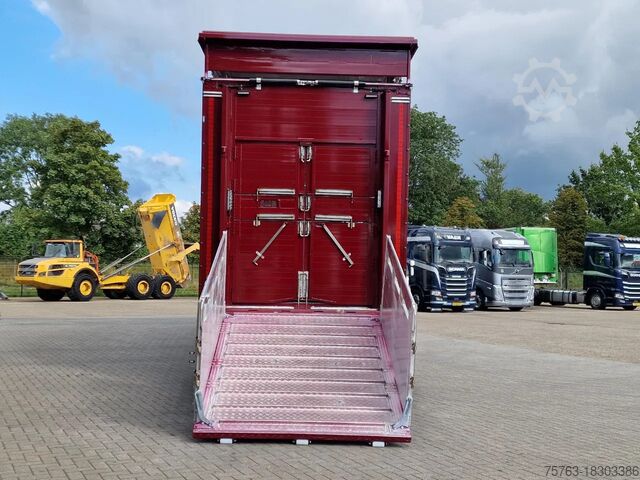 Cattle transport Pezzaioli New - 3 deck livestock 100M2 - Water & Ventilat...