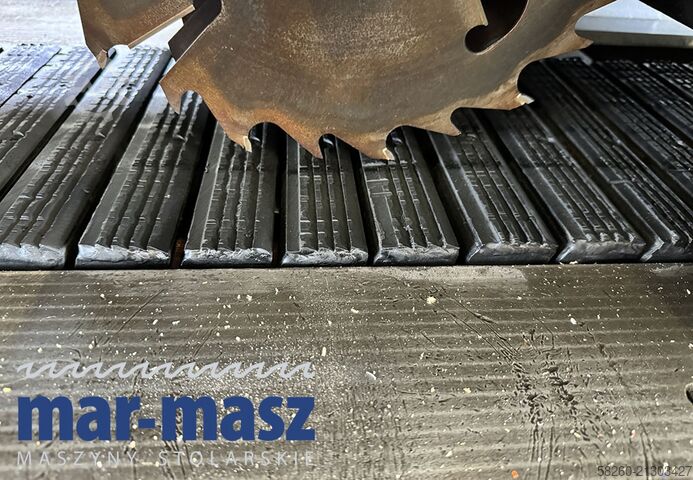 Kettengeführte Mehrblattkreissäge SCM M3 300/120