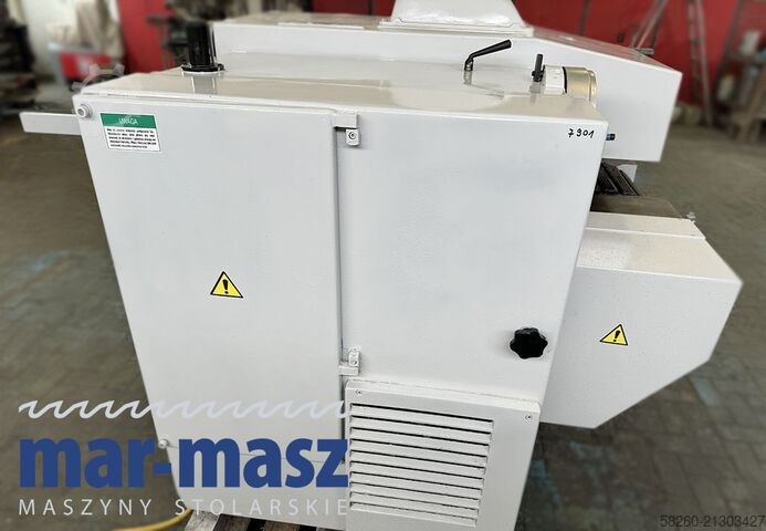 Kettengeführte Mehrblattkreissäge SCM M3 300/120
