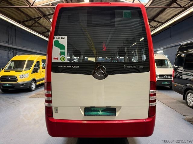 Stadtbus MERCEDES-BENZ Sprinter 516 Evobus City 65 Klima Telma Retarder