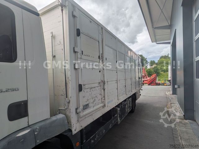 Cattle truck MAN TGM 15.290 / Menke / load 7750kg / E5