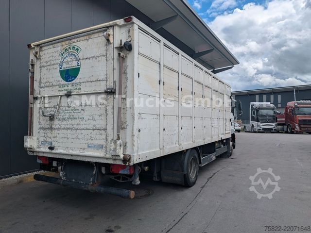 Cattle truck MAN TGM 15.290 / Menke / load 7750kg / E5