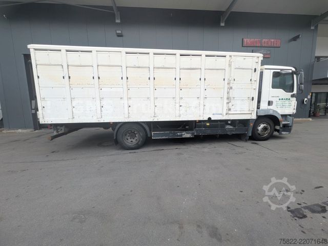 Cattle truck MAN TGM 15.290 / Menke / load 7750kg / E5