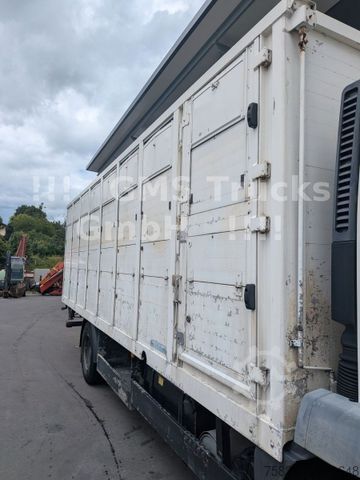 Cattle truck MAN TGM 15.290 / Menke / load 7750kg / E5