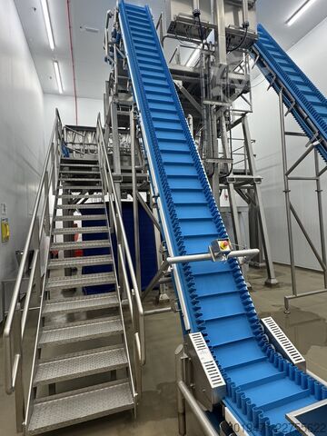 2 x Packing lines previously salad lines Multipond, GIC, VH packing Packing lines