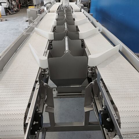 Fish processing machine Marel Smart Line dual lane grader