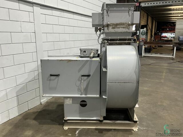Fans  Kiekens 8 FTEN 560 2019 Kiekens 