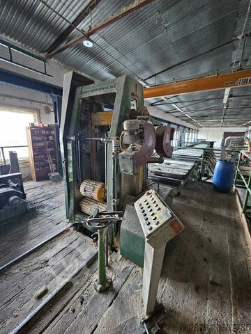 Saw with conveyors Drevo Trust 6710