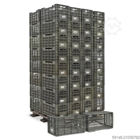 Gebrauchte Obst- und Gemüsekisten AGF-Kiste perforierte Wände und Boden, L: 500, B: 300, Kruizinga 99-5469GB-PAL