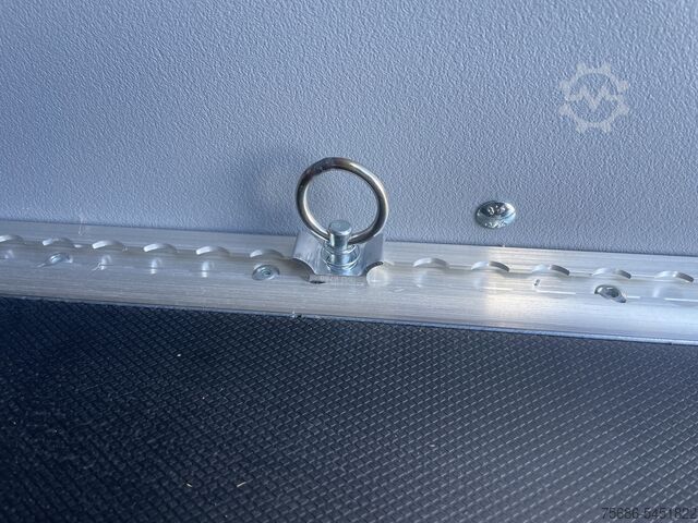 Koffer Saris GO 306 154 180 2000 2 Kofferanhänger