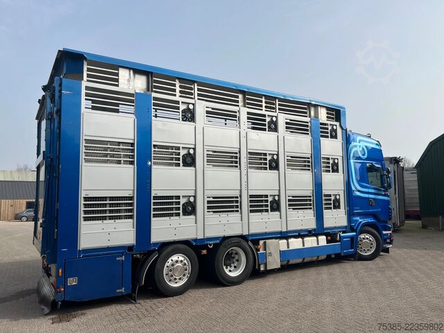 Cattle transport Scania R 500 LB 6X2*4 MNA Berdex 1/2/3 Moving roof Big...
