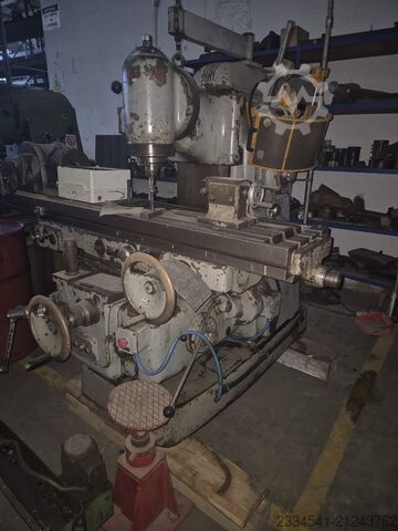 Aretusa pasquino aretusa