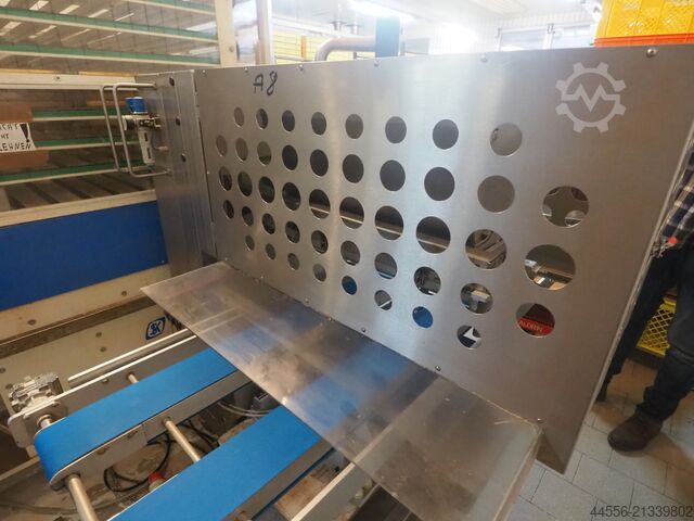 Dosing machine Krumbein DSM E/IV x-y