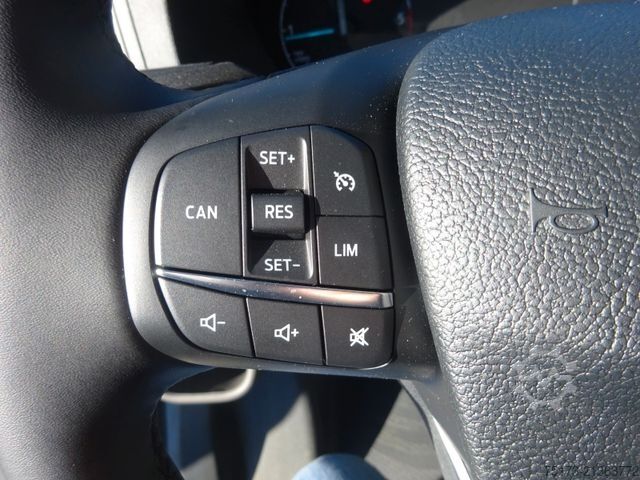 High top van FORD Transit Kasten Trend 310 L3H2 GRA SHZ DAB