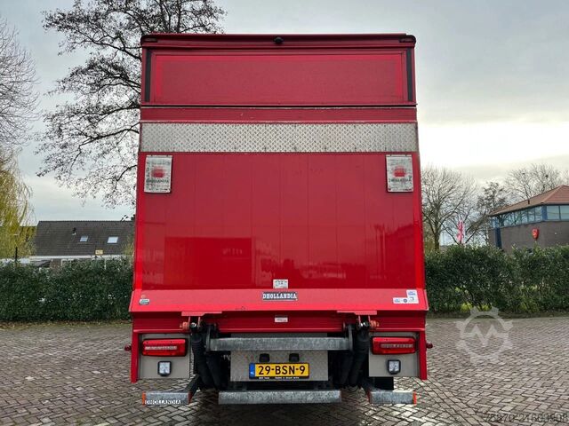 Suitcase DAF LF 260 FA