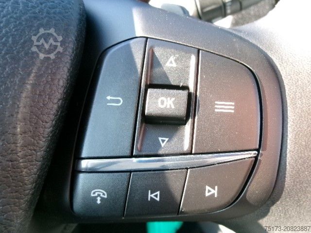 Panel van FORD Transit 350 L3H2 LKW Kasten Trend AT AHK 360Kam