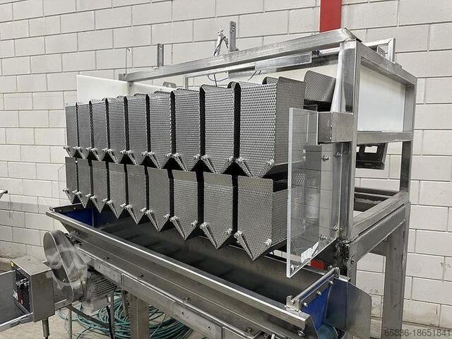 Newtec 9-Kopf-Waage Newtec 9 heads weigher
