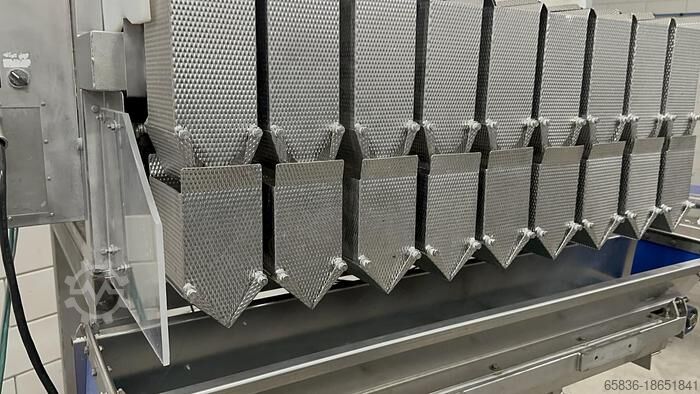 Newtec 9-Kopf-Waage Newtec 9 heads weigher