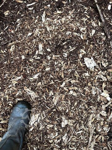 Stubbenhäcksler UFKES Greentech Cheetah 45