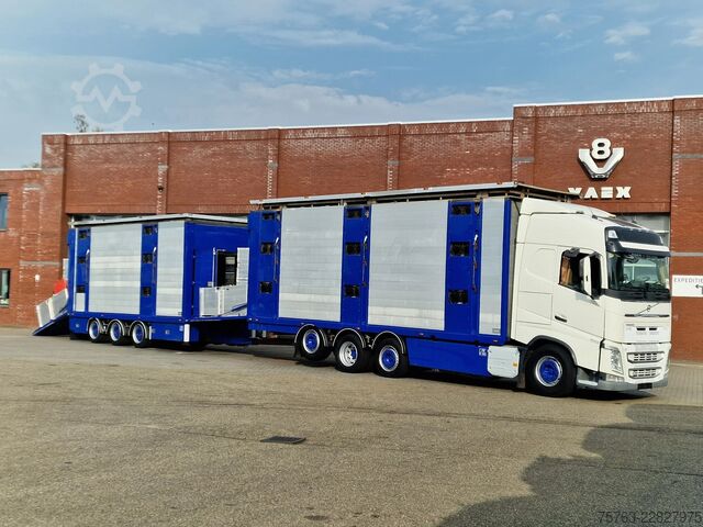Viehtransport Volvo FH 13.500 Globetrotter 8x2*6 - 3 deck livestock...