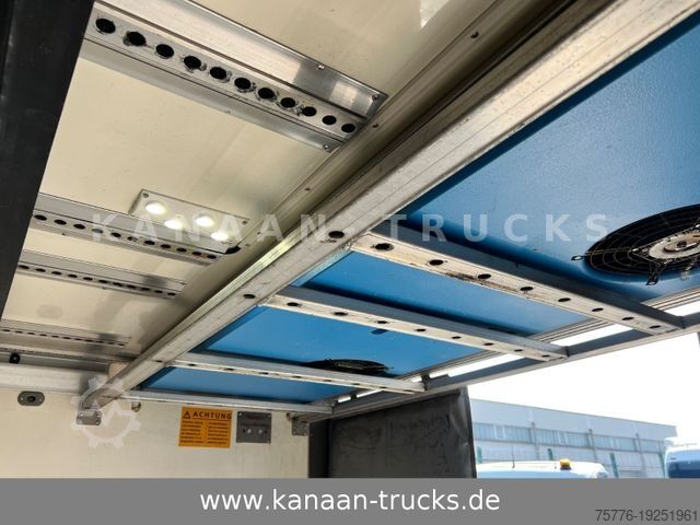 Kühlanhänger WUELHORST Tandem Durchlade LBW Frigoblock
