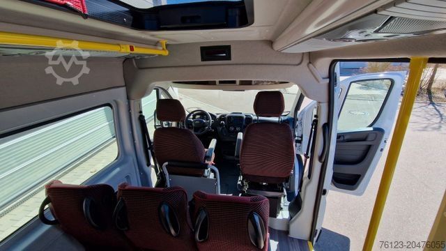 Kleinbus PEUGEOT Opel Movano Fiat Ducato Boxer mehrfach vorhanden