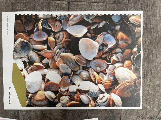 Colour copier Lexmark CX 921de