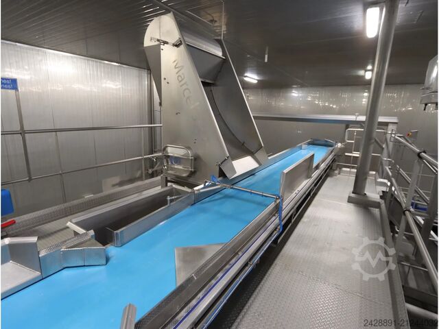 Sortierer / Sortieranlage Marcelissen 