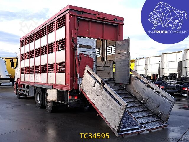 Cattle transport Scania R 500
