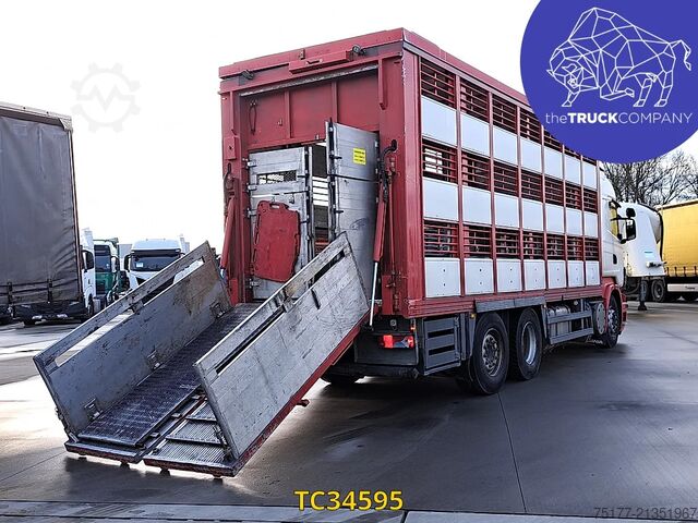 Cattle transport Scania R 500