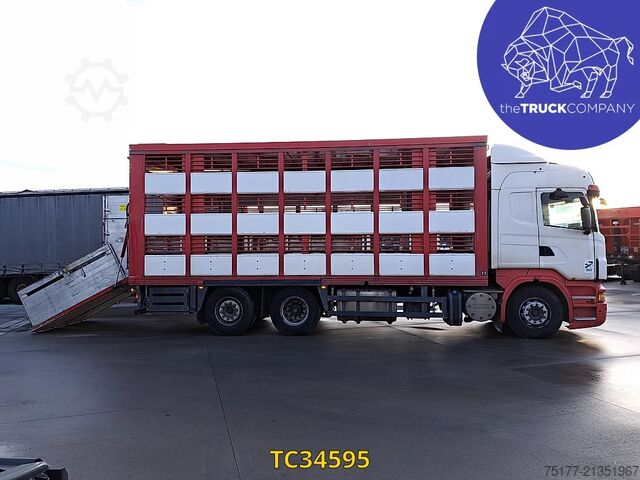 Cattle transport Scania R 500