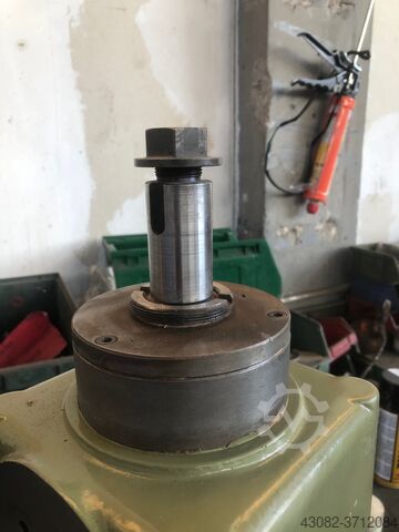 Ersatzteile fuer CELASCHI DEP CELASCHI TSA