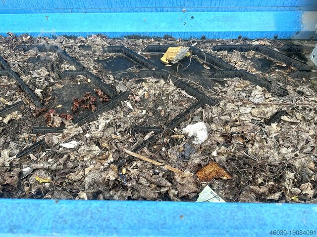 Diverse Transportbänder / Förderbänder Förderband Transportband / Conveyor Belt Förderband Transportband / Conveyor Belt