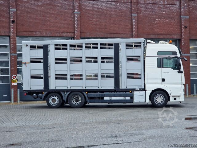 Viehtransport MAN TGX 26.480 6x2*4 - Menke 3 deck livestock 50.40...