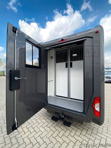 Livestock transporter RENAULT Master STX 5 Sitzer Haras ex. Lang Automatik