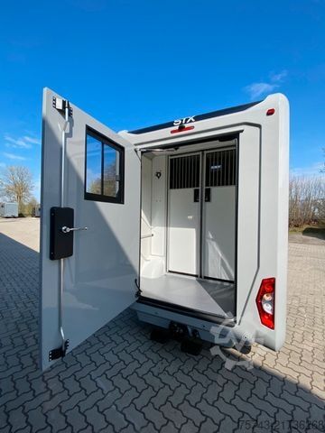 Livestock transporter RENAULT Master STX  Haras AUTOM. NEW MODEL 2025