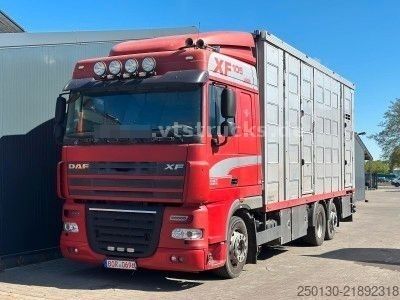 LKW-Fahrgestell DAF XF105 6x2 LL 3.Stock Menke Hubdach/Rampe/Tränke