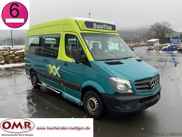 Passenger transport Mercedes-Benz 313 CDI Sprinter