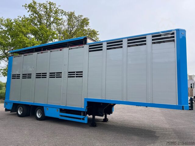 Cattle transport Berdex Livestock Veewagen Hefdak Stuuras