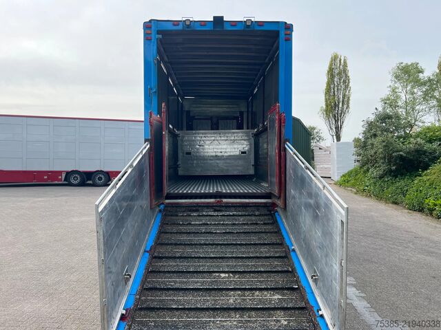 Cattle transport Berdex Livestock Veewagen Hefdak Stuuras