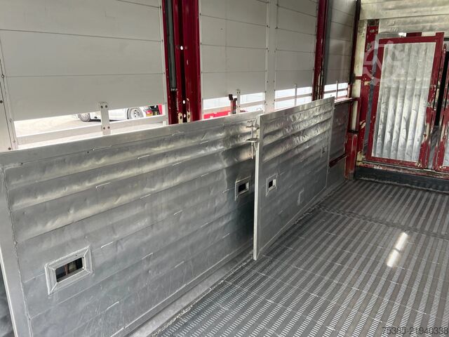 Cattle transport Berdex Livestock Veewagen Hefdak Stuuras