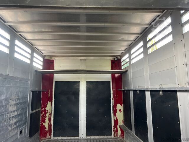 Cattle transport Berdex Livestock Veewagen Hefdak Stuuras