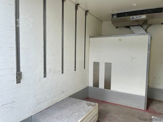 Panel van RENAULT Master 2.3 dci