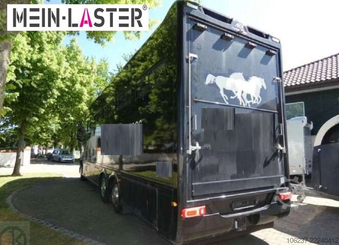 Viehtransporter LKW MERCEDES-BENZ 2651 Actros STX Pferdetrasnporter horseboxes