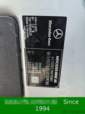 Kleinbus MERCEDES-BENZ Sprinter 319 CDI V6 RWD L3 / L4/MAXI/MBUX/PDC