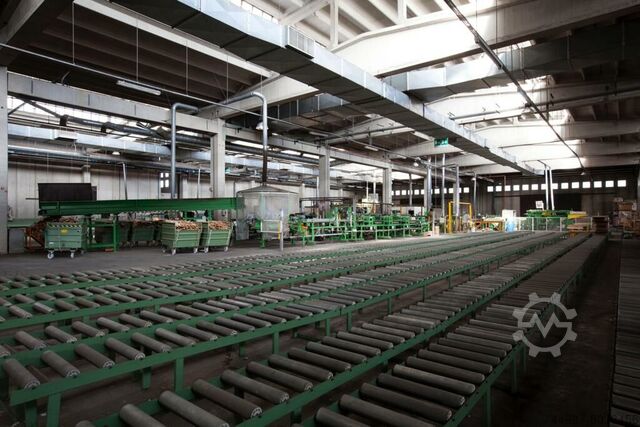 Finger jointing line NKT