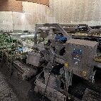 Optischer Sortierer Tomra Halo 1500